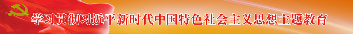 学习贯彻习近平新时代中国特色社会主义思想主题教育