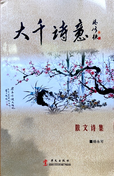 微信图片_20200114184650杨永可书封面.jpg