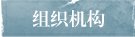 组织机构